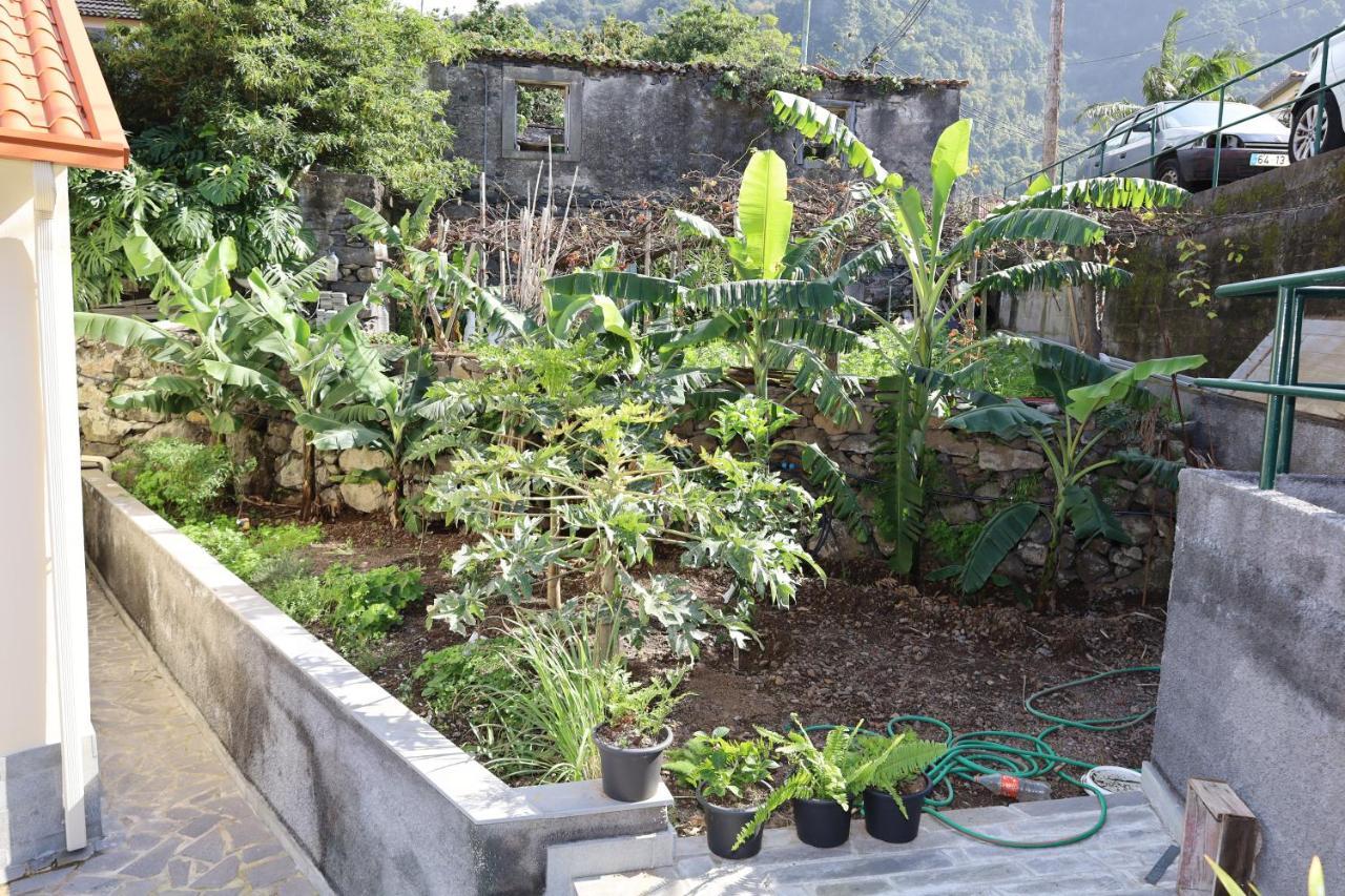 Casa Das Feiteiras By Analodges Ponta Delgada  Ngoại thất bức ảnh